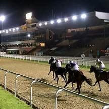 Wolverhampton Racing Tips Today .